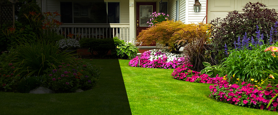 Swainsboro Landscapers