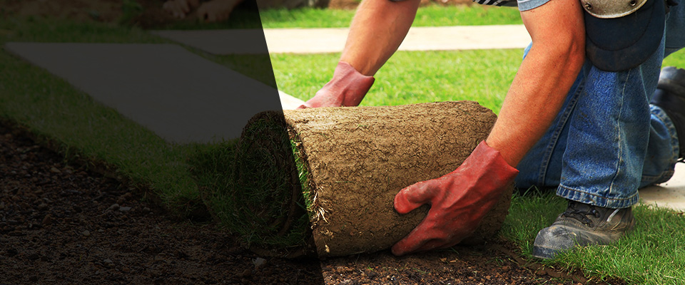 Swainsboro Landscapers